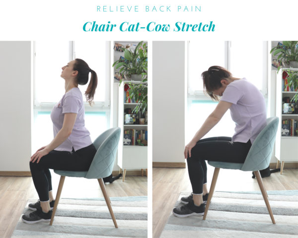girl performing chair cat-cow stretch from article 10 Desk-friendly chair stretches to relieve muscle pain