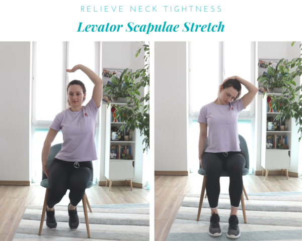 Levator Scapulae Stretch demonstration from article 10 Desk-friendly chair stretches to relieve muscle pain